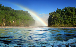 Rainbow river waterfall trees foreground - free nature wallpaper