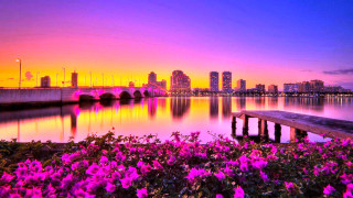 Sunset city lake flowers bridge - beautiful scenery free wallpaper for desktop