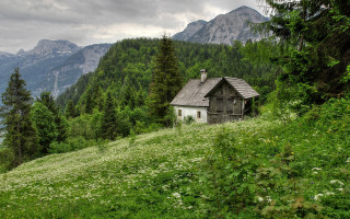 House forest mountain sky path - ferenc joachim free wallpaper