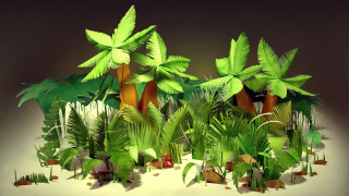 Desert trees plants butterflies bug - a group of trees free wallpaper