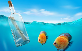Bottle fish surrealism storybook ocean - surrealism free wallpaper