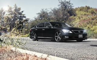 Black car forest road sunny 3 - a black car free wallpaper