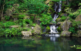 Waterfall forest lake lily person - the water and a person free wallpaper