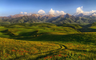 Green field dirt road mountains - a dirt road in the middle of it free wallpaper