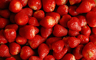 Strawberries knife macro sparkle bolswert - strawberry free wallpaper