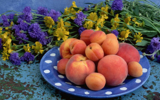 Blue peach flower field summer - a blue table free wallpaper