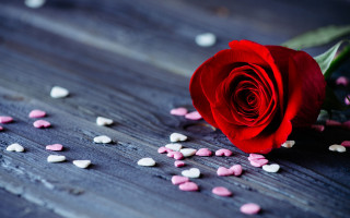 Romantic 3d roses petals flower - heart free wallpaper
