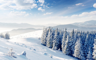 Snowy mountain trees blue sky 5 - white cloud free wallpaper