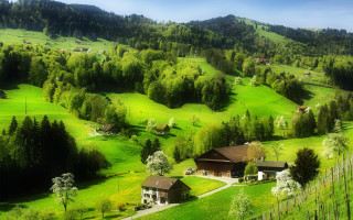 Green hillside house trees fence - in the foreground free wallpaper