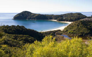 Beach hilltop trees panorama regionalism - a hill top free wallpaper