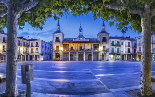 Large building clock tower street 3 - tree in front free wallpaper