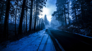 Snowy forest road matte painting 2 - the side of the road free wallpaper