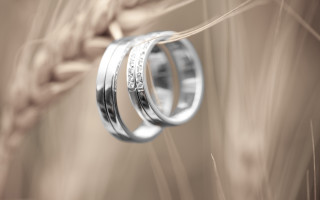 Wedding rings wheat sepia photorealism - jewelry free wallpaper