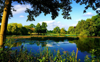 Lake trees grass blue sky - christopher wren free wallpaper