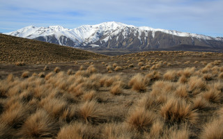 Field mountains bushes snow matte - murata range free wallpaper