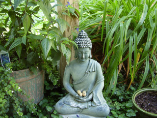 Buddha statue garden plants potted - a statue free wallpaper