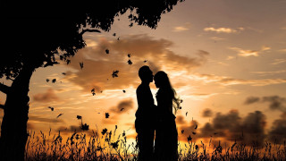 Romantic couple field sunset butterflies - romantic free wallpaper
