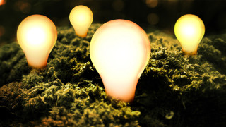 Light bulbs moss ground night - ground free wallpaper