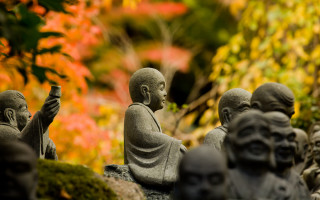 Buddha statues garden flowers trees - eizō katō free wallpaper