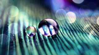 Water drops green leaf bokeh - the background and a blurry background free wallpaper