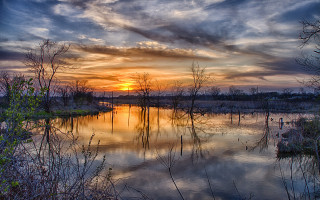 Sunset lake trees bushes cloudy - a sunset over a lake free wallpaper