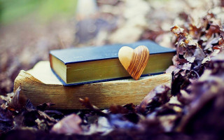 Book heart leaves woods romanticism - a bookmark free wallpaper