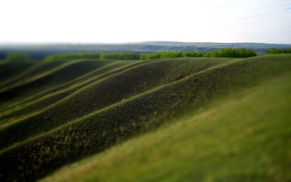 Field trees clouds green forest - tilt shift free wallpaper