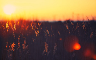 Field sunset lens flare autumn - the distance free wallpaper for desktop