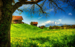 Green field hill house tree - a mountain in the distance free wallpaper