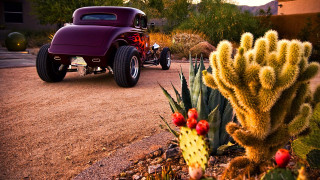Purple car cactus house redroof - a purple car free wallpaper