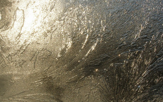 Frosty window light tree abstract - frosty free wallpaper