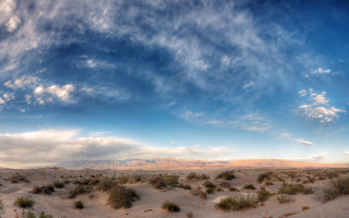 Desert bushes mountains sky ocean - a few bush and bushes free wallpaper
