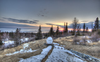 Toilet snowy field forest zenith - a toilet free wallpaper