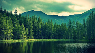 Lake forest mountains cloudy sky 5 - a forest in the foreground free wallpaper