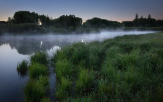 Misty river birds fog forest - alexander brook free wallpaper