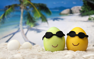 Eggs sunglasses beach palm sky - sunglass free wallpaper