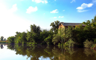 Lake house forest bush sky - alen divi free wallpaper