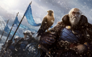 Bearded man bird outdoors snow - a beard and a beard holding free wallpaper