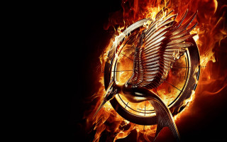 Fire bird clock embers flame - clock free wallpaper