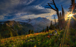 Mountain sunset forest lake river - crepuscular ray free wallpaper