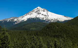Mountain snow peak trees blue 2 - the foreground free wallpaper