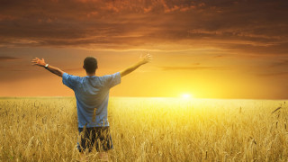 Man outstretched arms sunset field - radiant free wallpaper