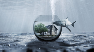 Fish house shark ocean mountains - surreal photography free wallpaper
