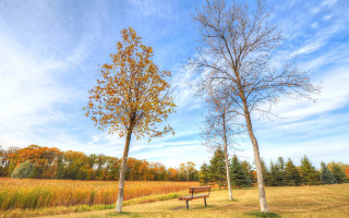Bench field trees clouds autumn - hdr free wallpaper