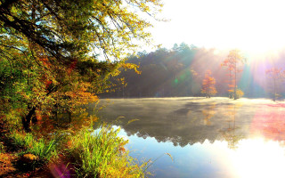 Lake trees grass sunset autumn 2 - tree and grass free wallpaper