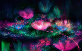 Flower garden butterfly mystical colors - mystical free wallpaper