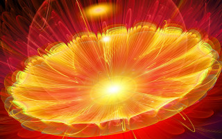 Bright yellow flower red background - a yellow center free wallpaper