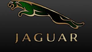 Black gold jaguar logo green - gold free wallpaper