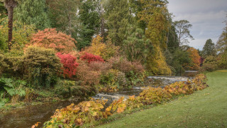 Autumn forest river nature puzzle - a lush green forest free wallpaper