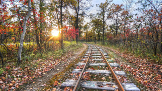 Train track sunset autumn leaves - a sunset in the background free wallpaper